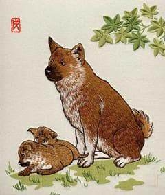 1970年属狗人2025年全年运势运程  70年属狗人2025年每月运势详解