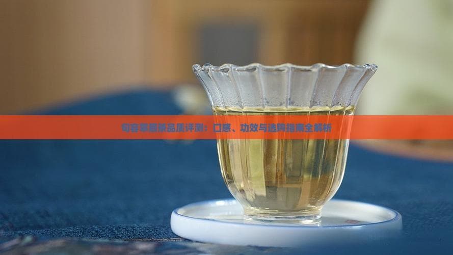 句容翠眉茶品质评测：口感、功效与选购指南全解析