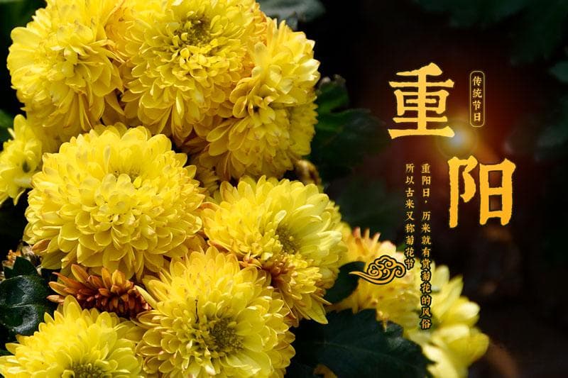 重阳节的由来及历史演变