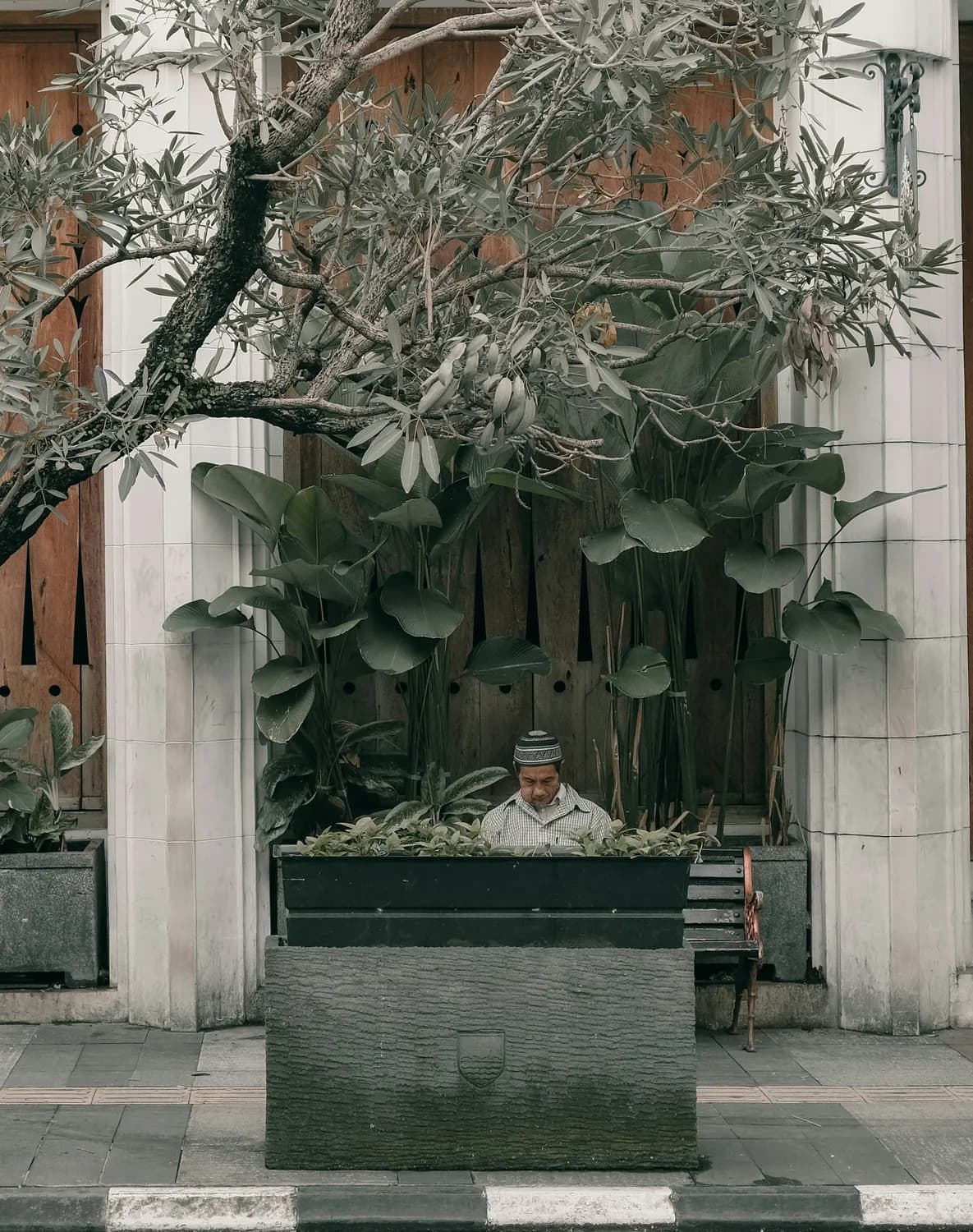 《芋老人传》：明末清初社会变迁中的道德寓言