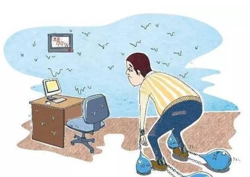 绿慈指南：六七月份如何利用中医调理湿热体质？