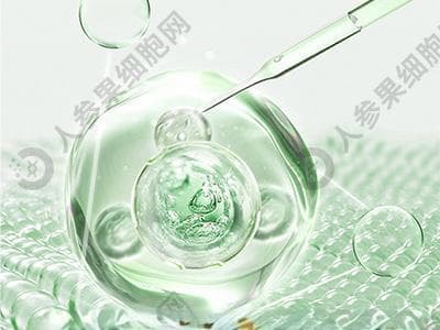打免疫细胞能吃鸡蛋吗？专家解析治疗期饮食注意事项