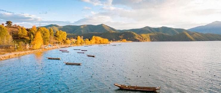 芋泥波波奶茶的历史发展与文化意义