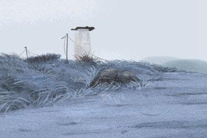 十二生肖与地支五行之间的关系