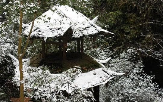 都江堰水文化，青城山绿色氧吧
