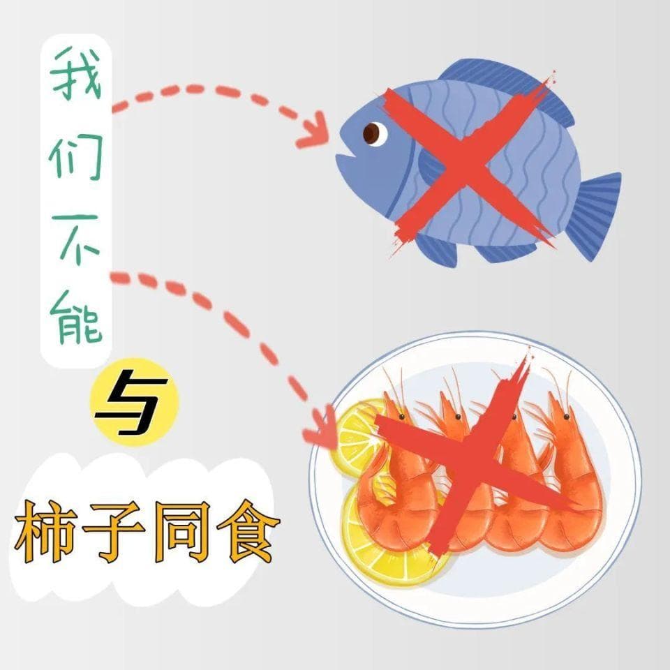 女子连吃多个柿子，一夜长出巨大胃石