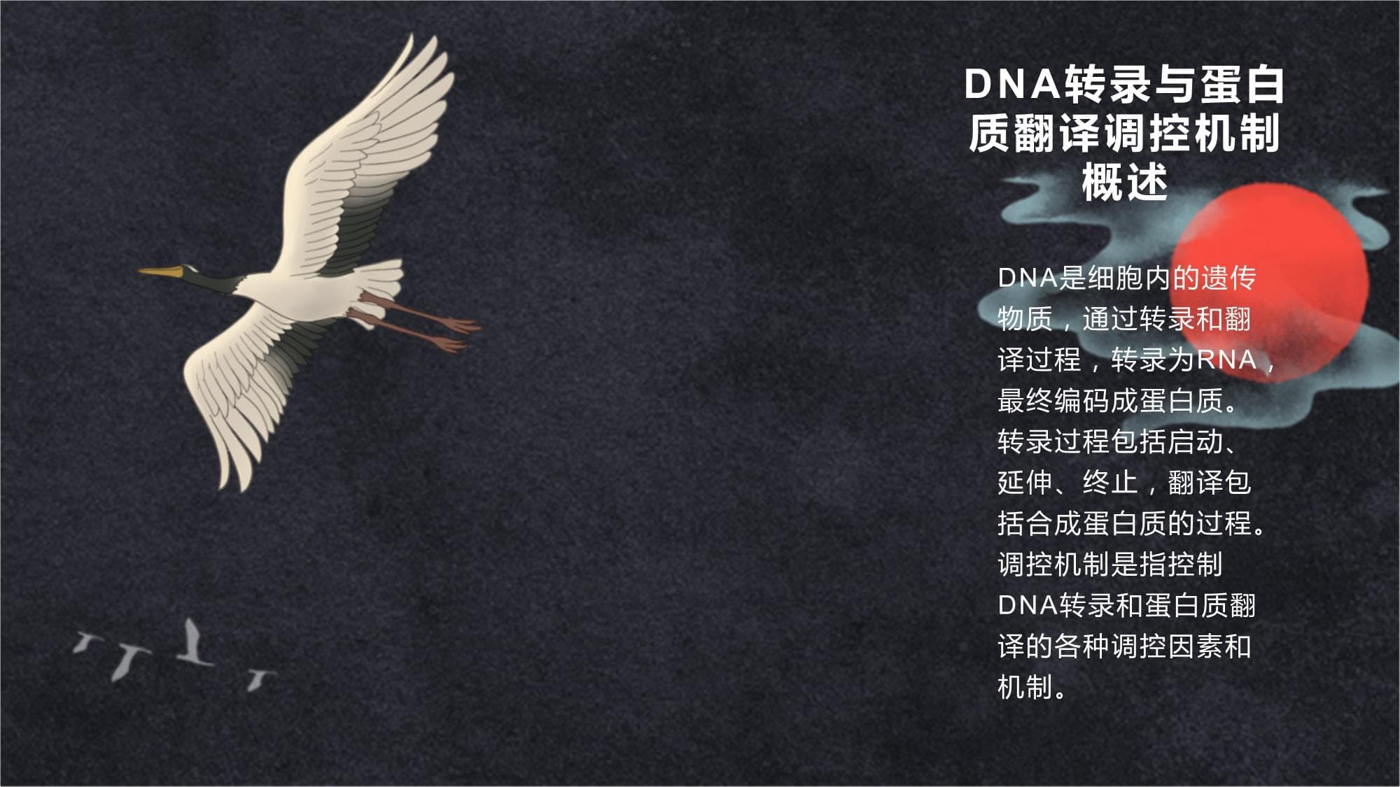 DNA转录和蛋白质翻译调控机制