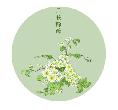 二十四节气之谷雨：物候、民俗与养生全解析