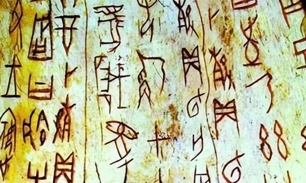 一片甲骨惊世界：一百多年前，他们发现了甲骨文
