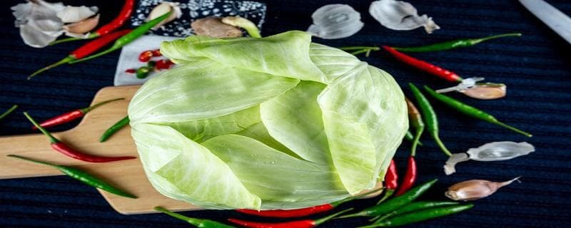卷心菜怎样保存时间长 卷心菜的保存方法