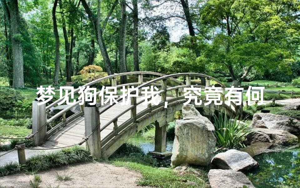 梦见狗保护我，究竟有何寓意？- 梦境解析与心理分析
