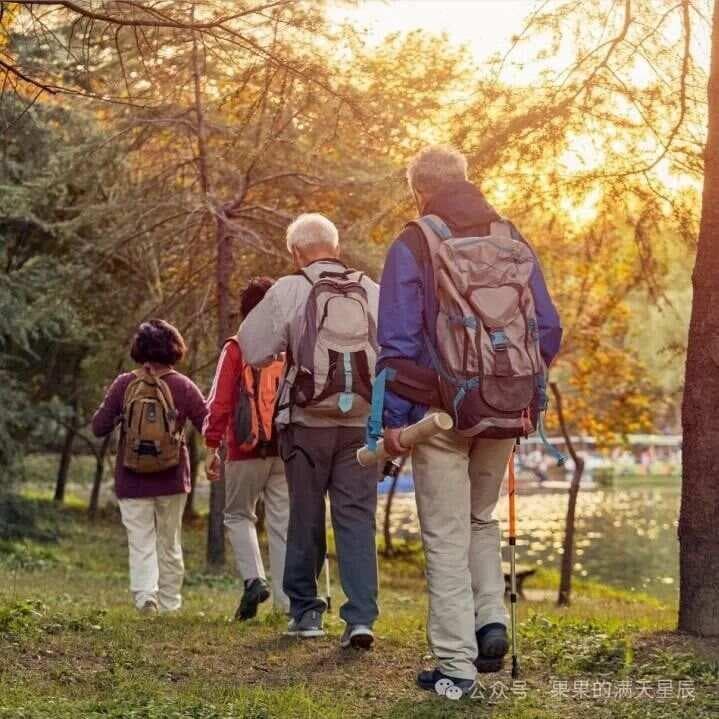 退休5年,我试了3种旅行方式,才发现1 1组合更适合我们老年人