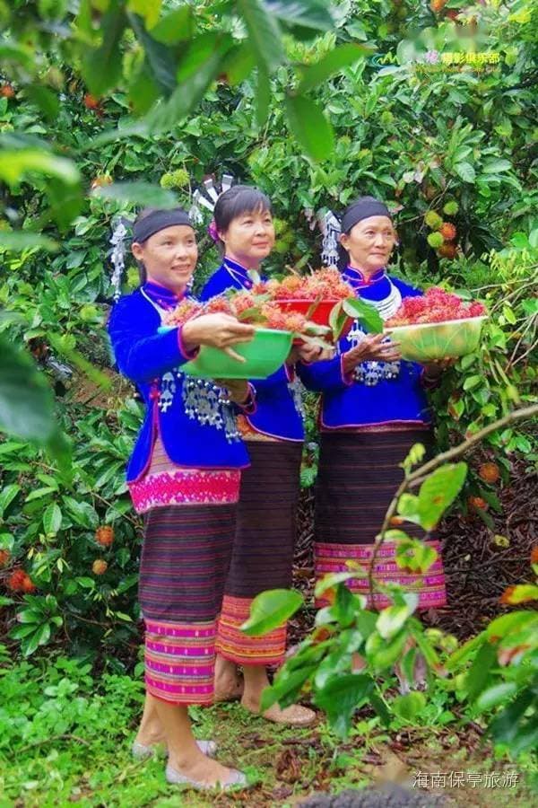 保亭十大旅游景点：热带雨林、温泉度假与民族文化交融
