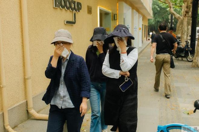 梧桐花絮漫天飞舞，喷嚏眼泪接连不断？！呼吸科医生来支招