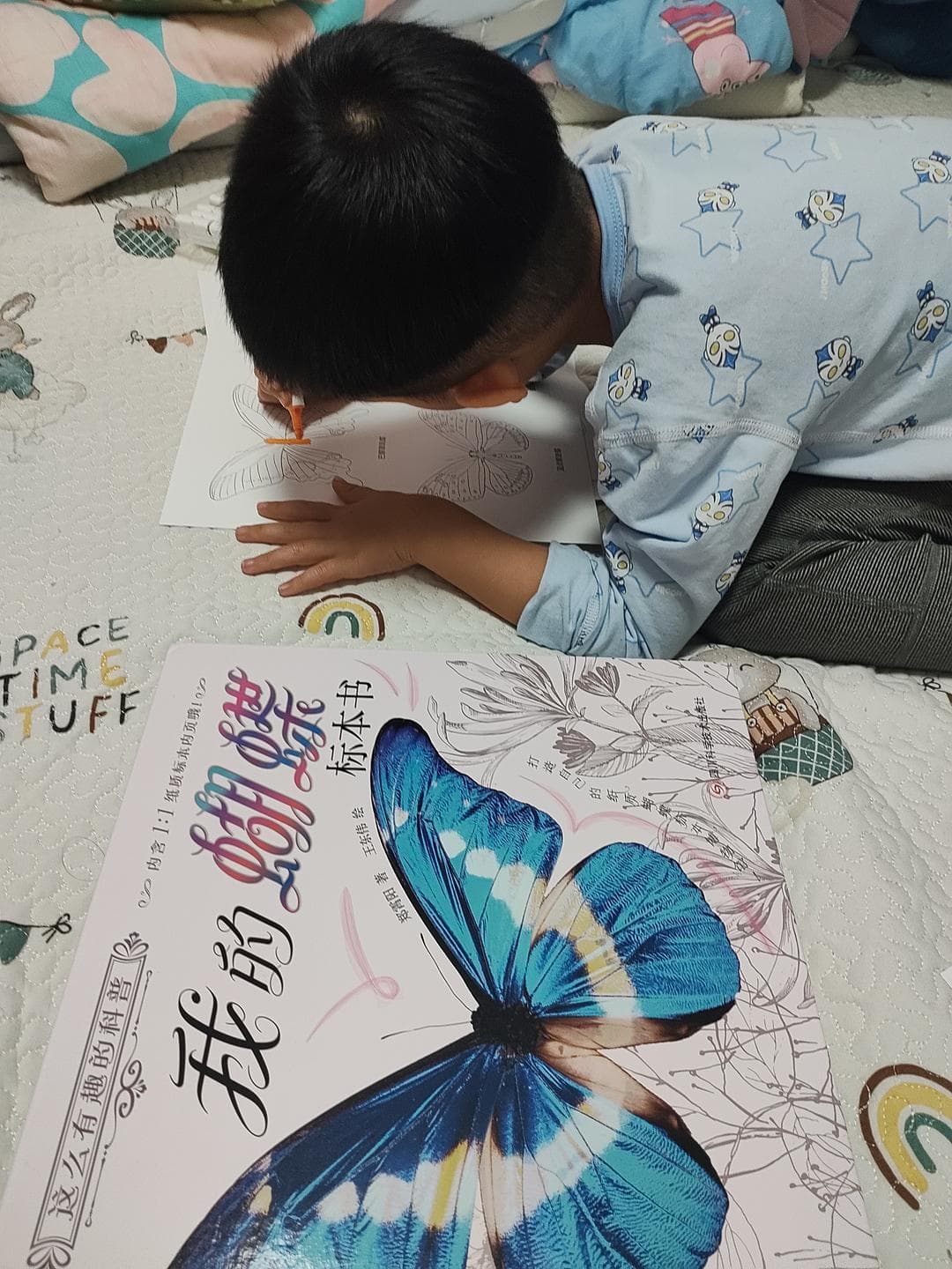 蝴蝶之美：生命、艺术与科学的交织