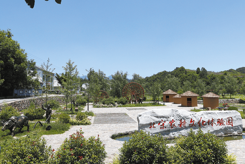 红庙村：从传统农业到乡村旅游的华丽转身