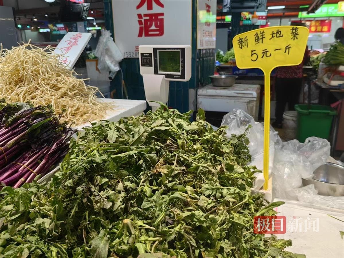 香椿火了以后，这些“野春菜”排着队来了，必须注意！