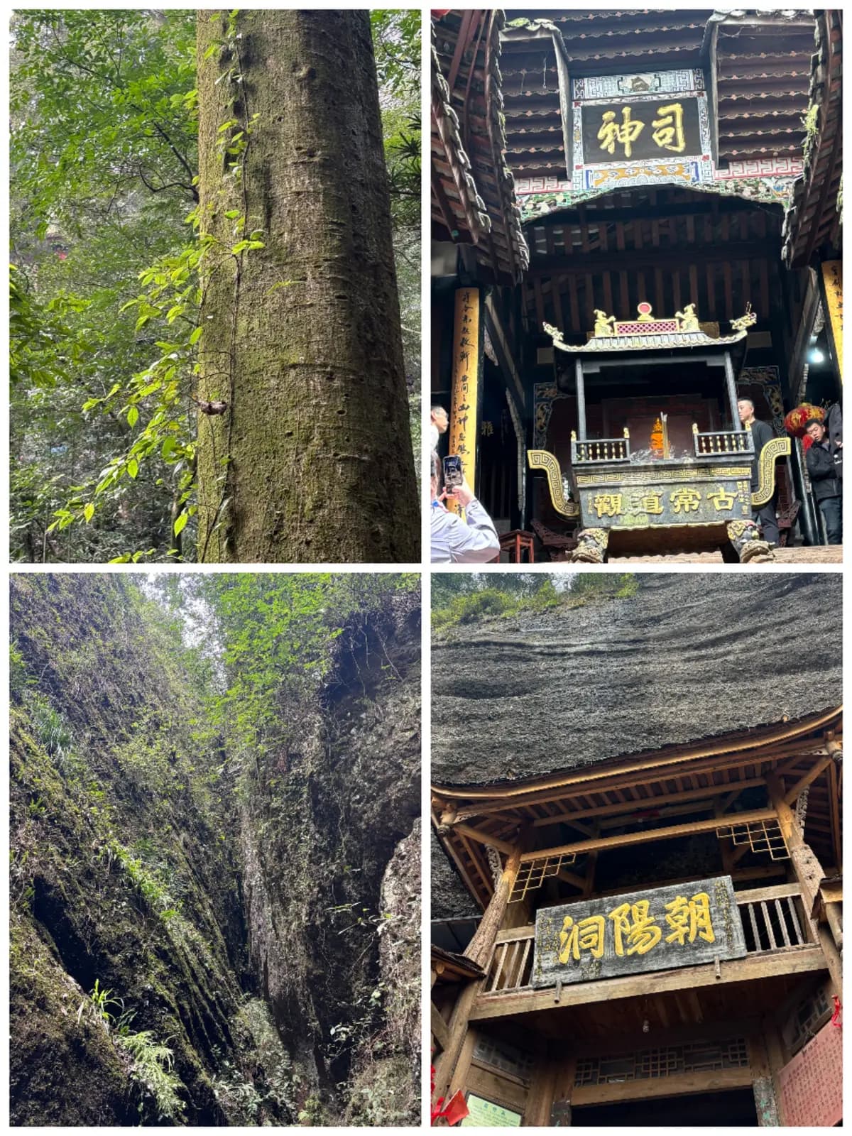 成都青城山简介