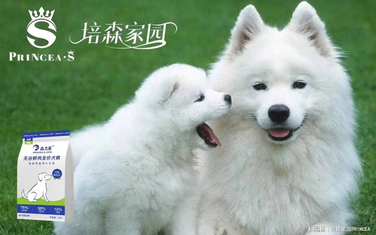 狗狗放屁“臭如毒气弹”该如何改善呢？