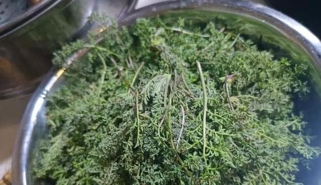 春天最强野菜来袭！麦蒿“野菜皇后”清热养肝健胃，春季必吃！