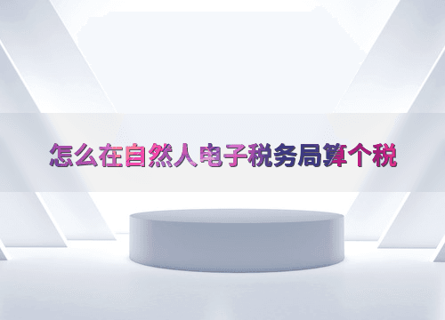 怎么在自然人电子税务局算个税