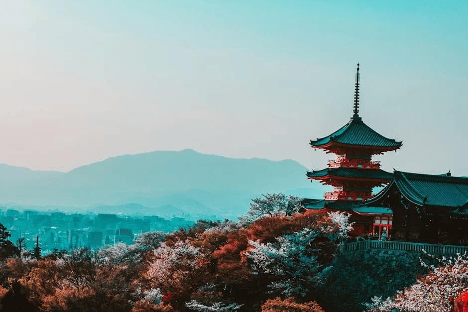 日本经营管理签证完全指南：申请条件、优势及常见问题解答
