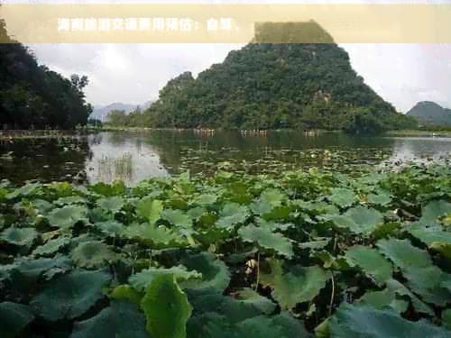 海南旅游交通费用预估：自驾、公共交通与包车费用一览