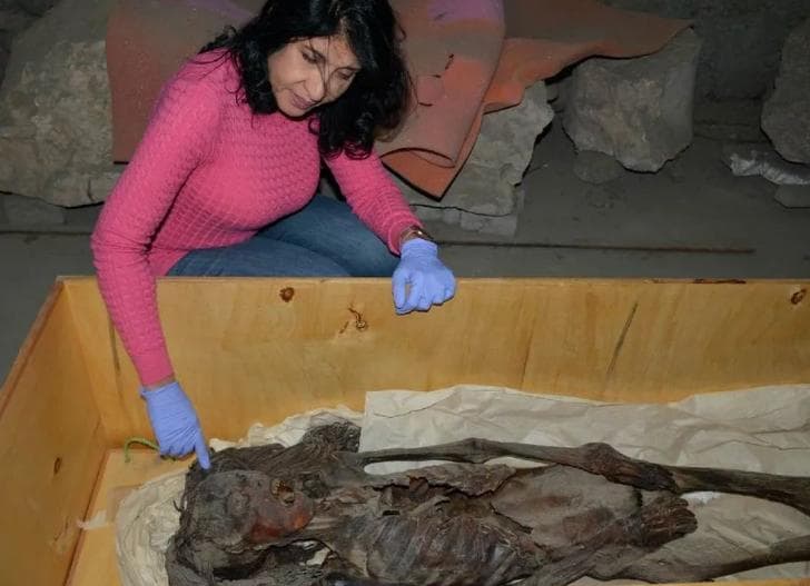 揭秘"尖叫女人"木乃伊：3500年前痛苦死亡的惊悚之谜