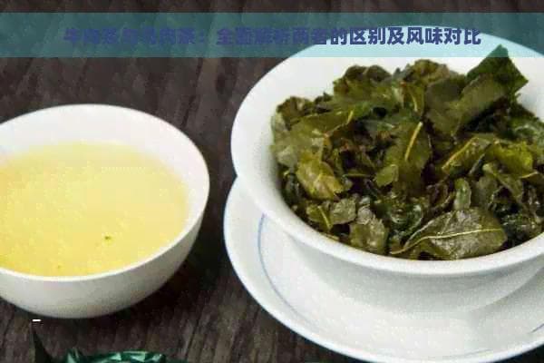 牛肉茶与马肉茶：全面解析两者的区别及风味对比
