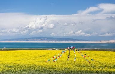 青海方言大全：从发音到词汇，详解独特的地方语言文化