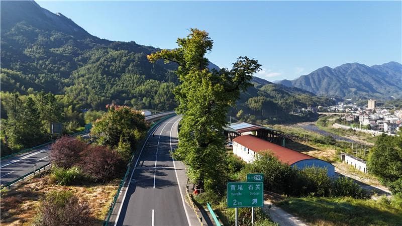 大别山生态景观高速公路：一条串起生态、红色记忆与振兴的 “美丽廊道”
