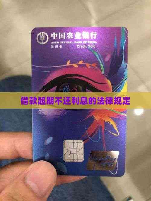 借款超期不还利息的法律规定