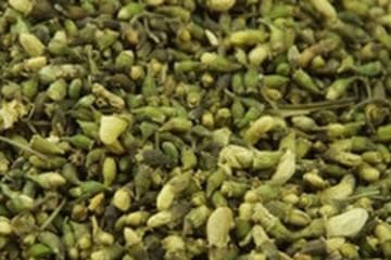槐米的功效与作用
