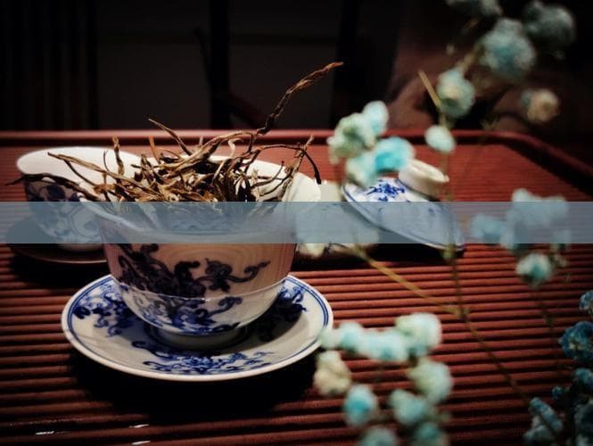 防止茶叶陈化变质的注意事项是：避免哪些因素？