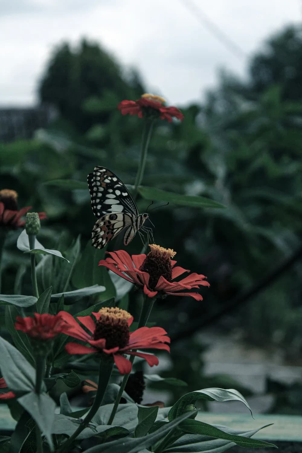 萧逸帆新作：诗意花园里的生命哲思