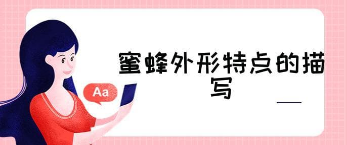 蜜蜂外形特点的描写