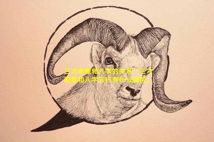 三才命理和八字命理的关系与区别