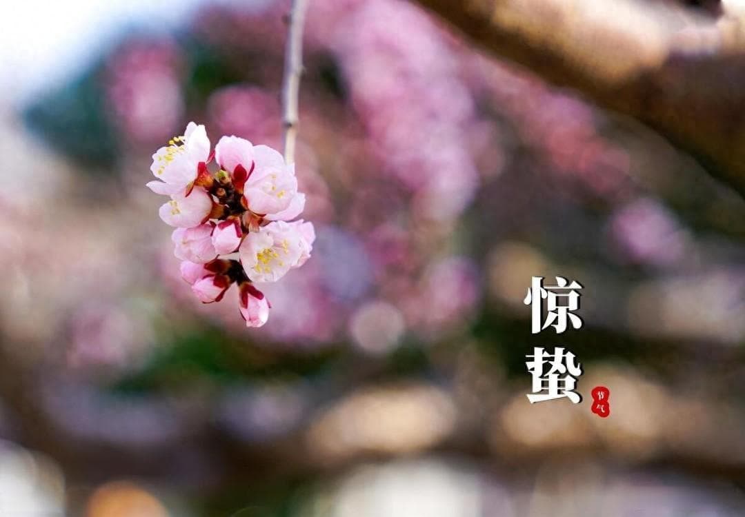 明日惊蛰，按照传统别忘了吃这样水果，寓意一年都有精神头