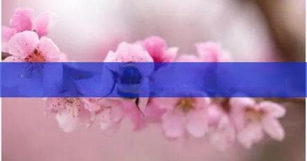 可乐姜汤的做法大全：多种版本任你选