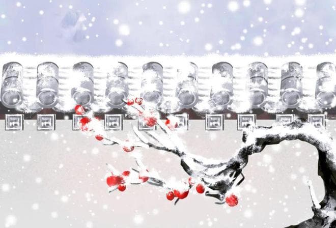 最美的10首大寒诗词，岁暮雪落，梅花暗折，唯美了整个冬天
