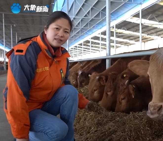 全国人大代表赵昭返乡养牛创业引发全网热议