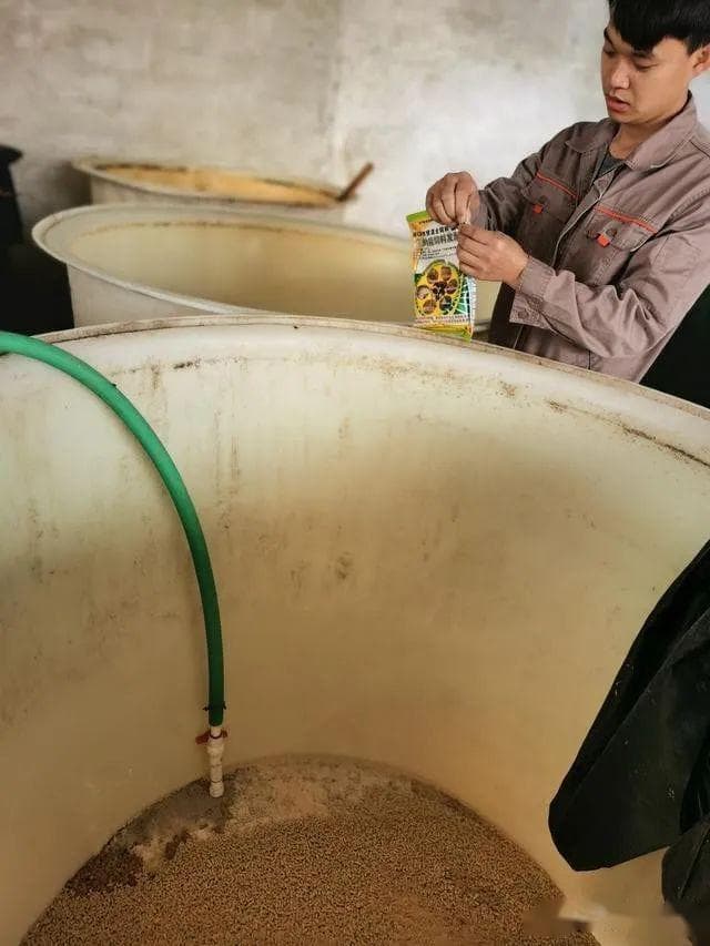 武鸣梁老板自制发酵中药养猪，抗病防非的同时还能明显提升猪肉品质，增加养殖利润