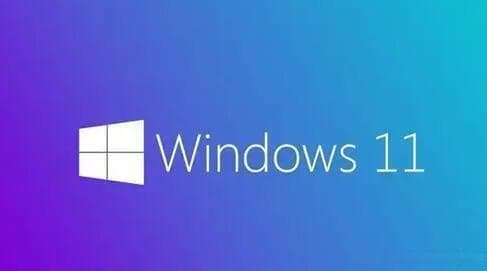 Windows 11共享文件访问问题排查指南