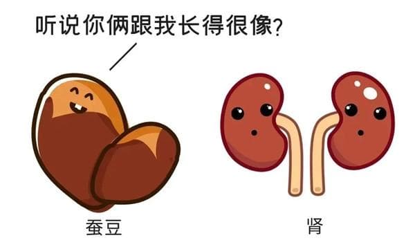 早期肾病不痛不痒！注意这些征兆，千万别再大意！