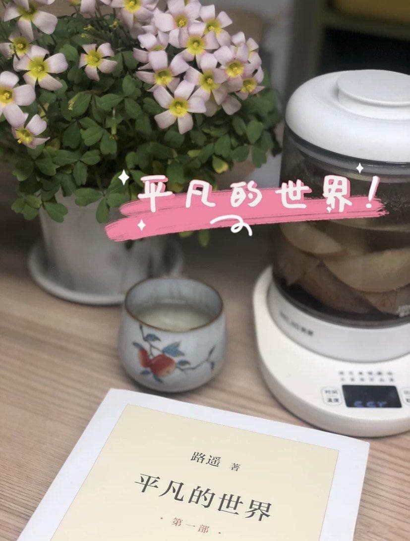 平凡的世界，平凡的人生，平凡的生活