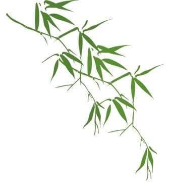 徽常清凉 | 向山而行，自在寻清凉！