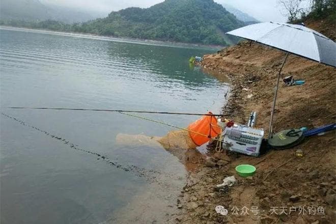 秋季如何野钓鲤鱼？记住几个爆护时机，出钓就能连竿