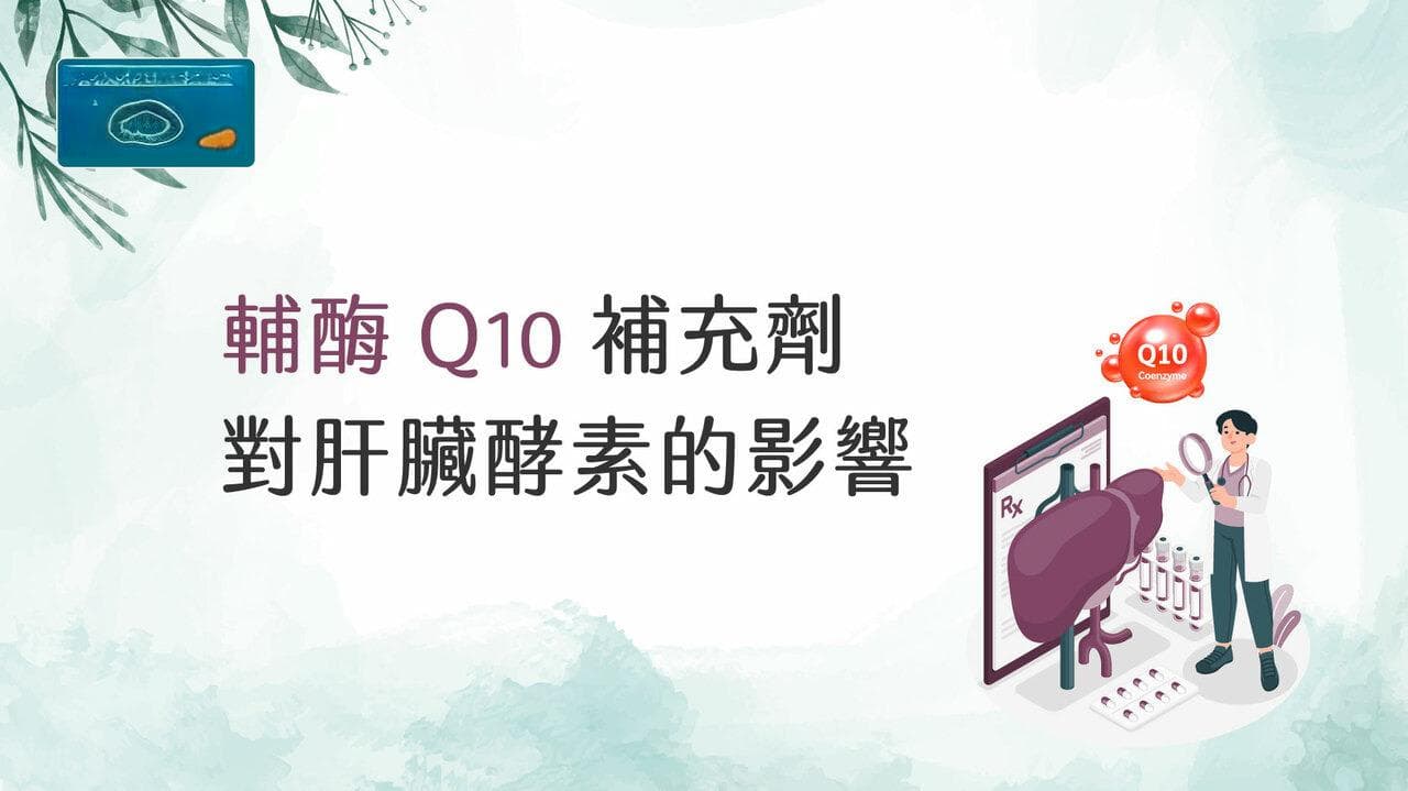 辅酶Q10补充剂对肝酶水平的影响