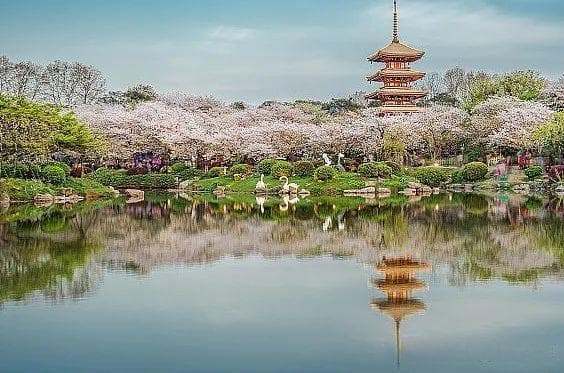 武汉3-4天深度游：从黄鹤楼到东湖，吃住行玩全攻略