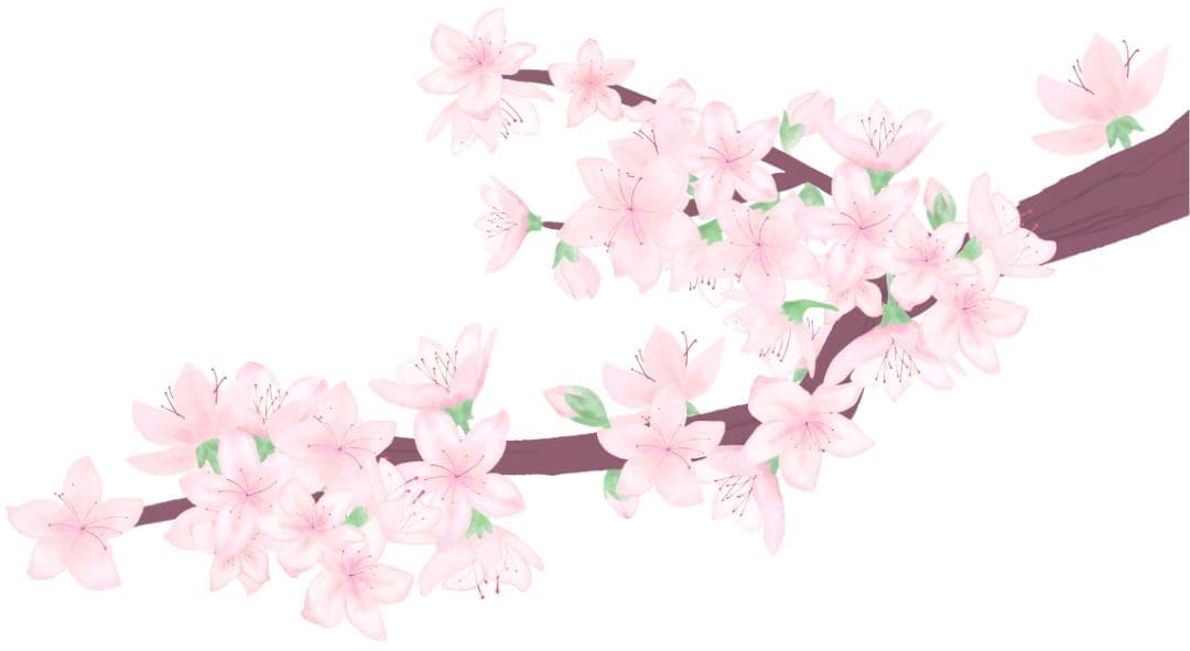 闹市中心的“风雅”樱花林：武汉西北湖绿化广场赏樱全攻略